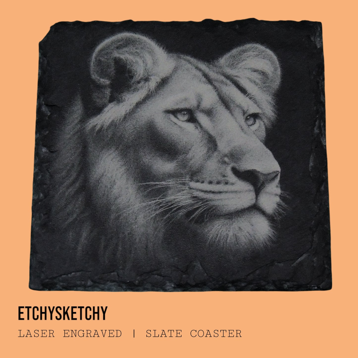 Graceful and fierce lioness engraving, representing the strength and nurturing spirit of the pride