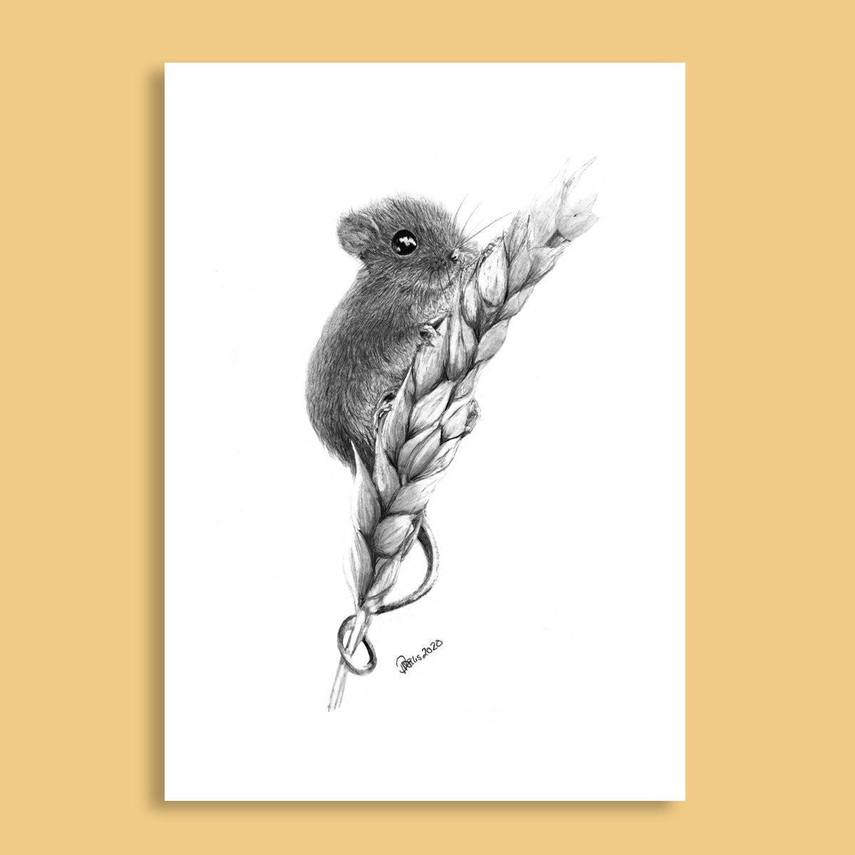 Mouse Print A4 210mm x 297mm