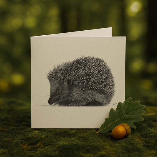 Needlefold - Hedgehog Card