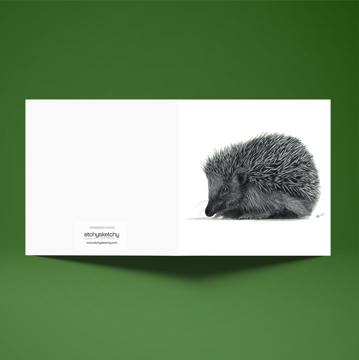 Hedgehog Greetings Card (145mm x145mm) - blank inside