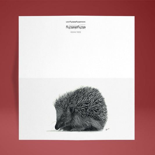 Hedgehog Greetings Card DL (210mm x 99mm) - blank inside