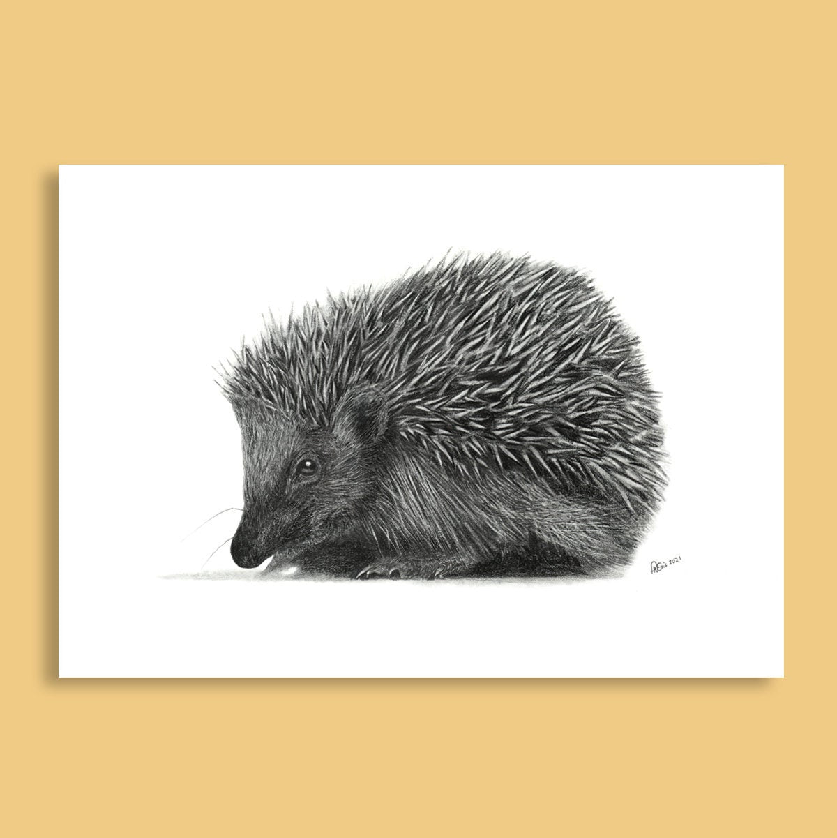 Hedgehog Print A4 - 297 x 210mm